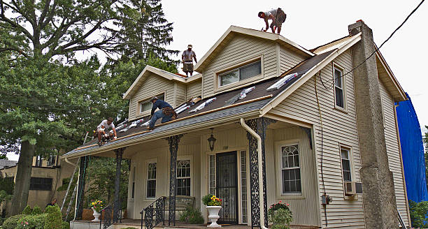 Best Roof Gutter Cleaning  in Hugo, OK